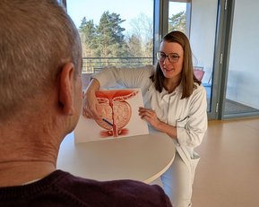 Eine Ärztin erklärt einem Patienten mit einem anatomischen Diagramm das menschliche Urogenitalsystem.